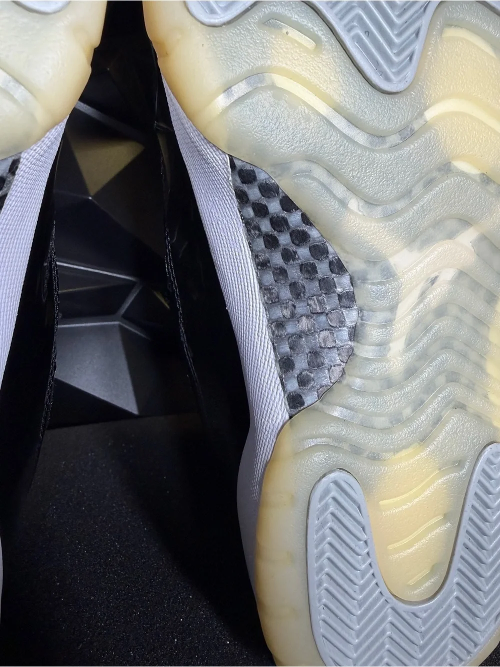 Jordan 11 Retro 25th Anniversary “Jubilee “